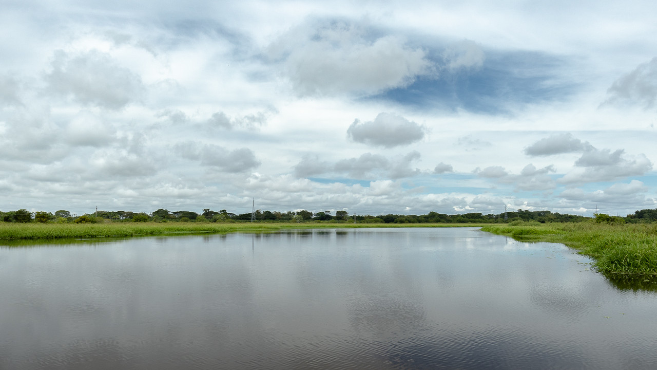 Ecoreserva Centenario La Pacora