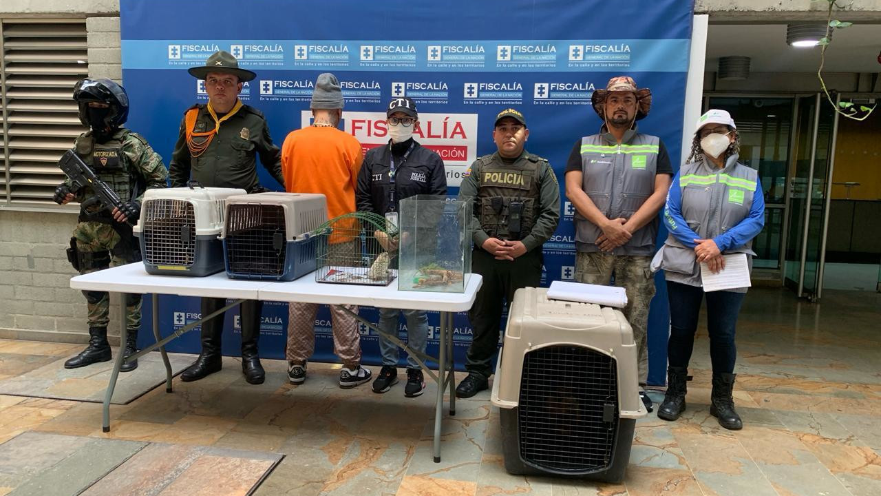 En San Javier y Buenos Aires rescataron 12 especies silvestres y exóticas