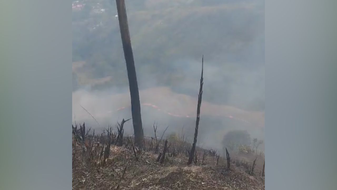 Gran humareda: Vía Matasanos cerrada por incendio forestal en Barbosa