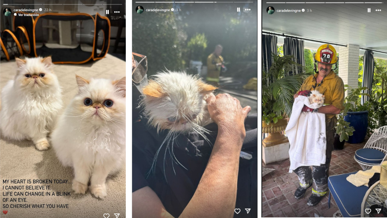 La casa de la actriz Cara Delevingne quedó destruida tras incendio en Los Ángeles