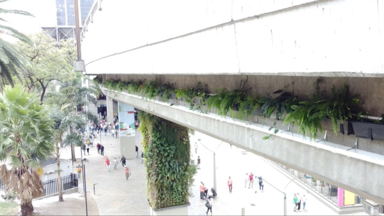 Medellín instala jardineras colgantes para ayudar a purificar el aire en el Centro