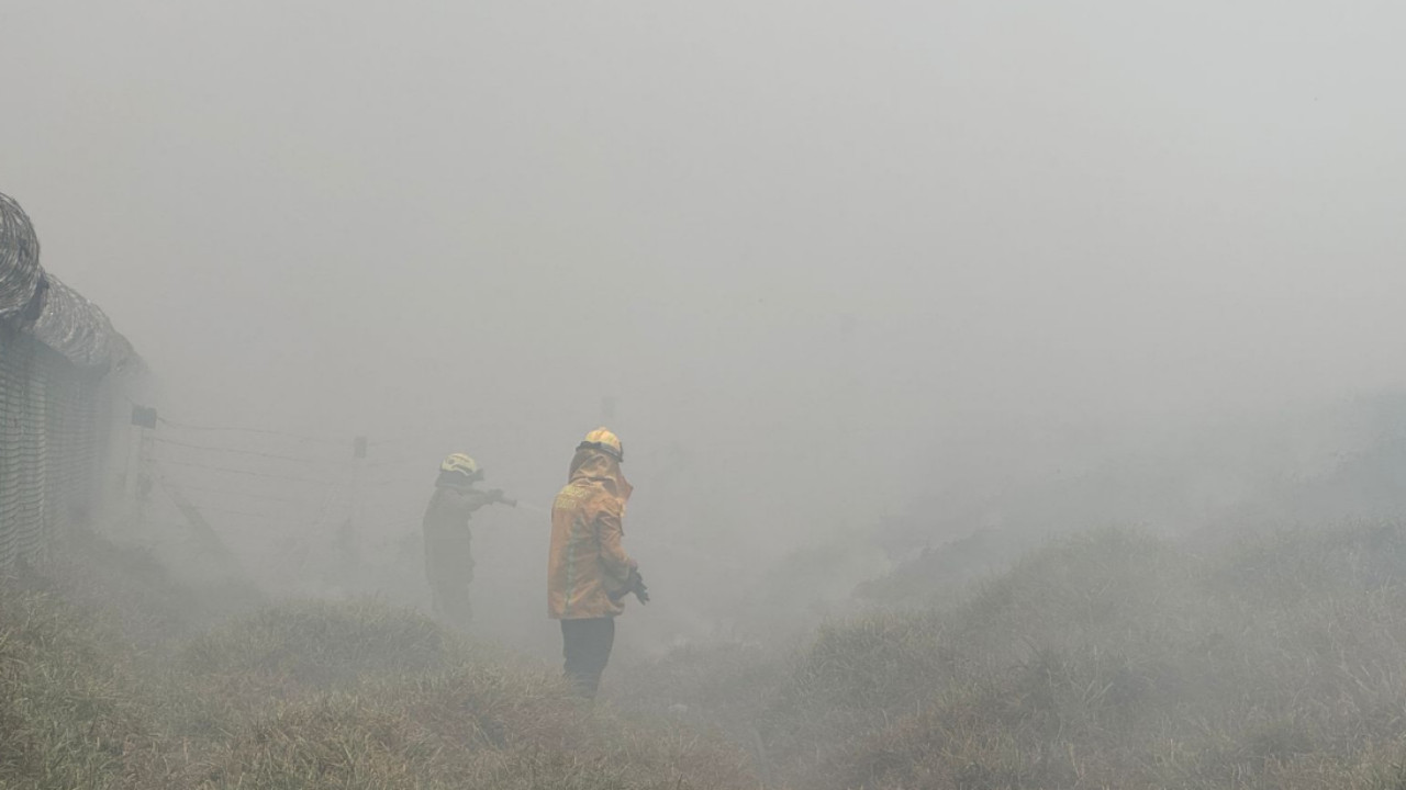 Nuevo incendio forestal en Bosa 3