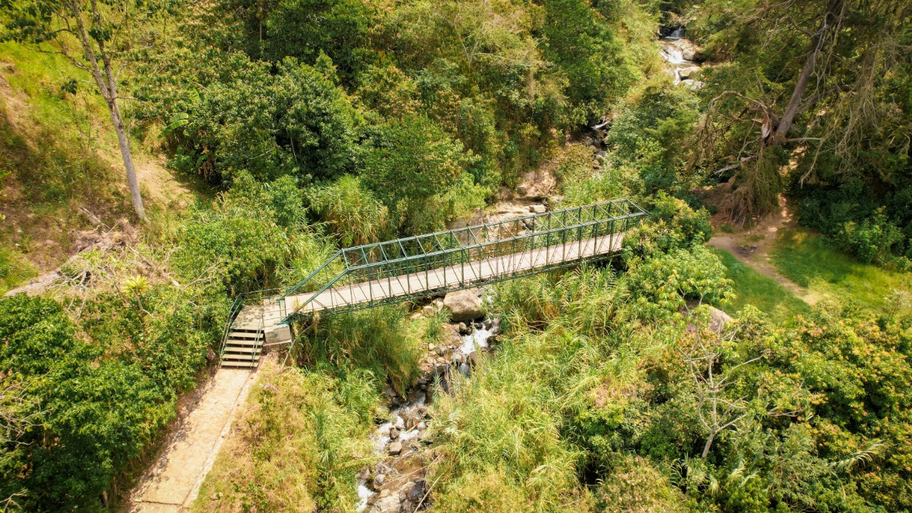 Medellín adelanta los estudios para reciclar 14 puentes subutilizados