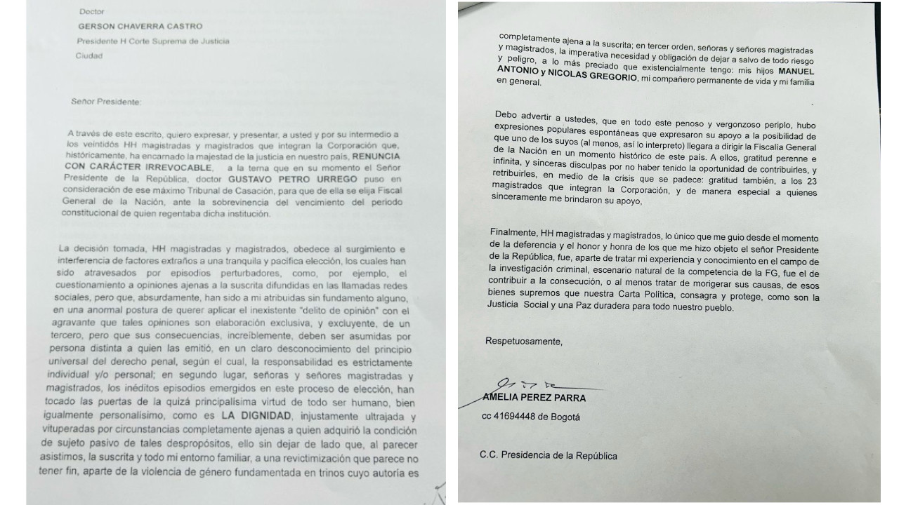Renuncia de Amelia Pérez genera nuevos ruidos a la elección de Fiscal General