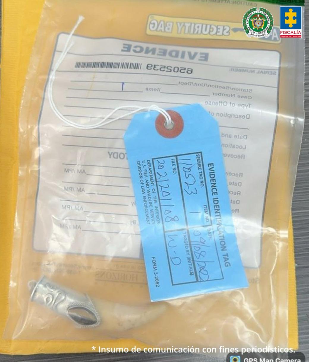 Desarticulan a ‘Harpía’, una red que traficaba fauna silvestre por redes sociales