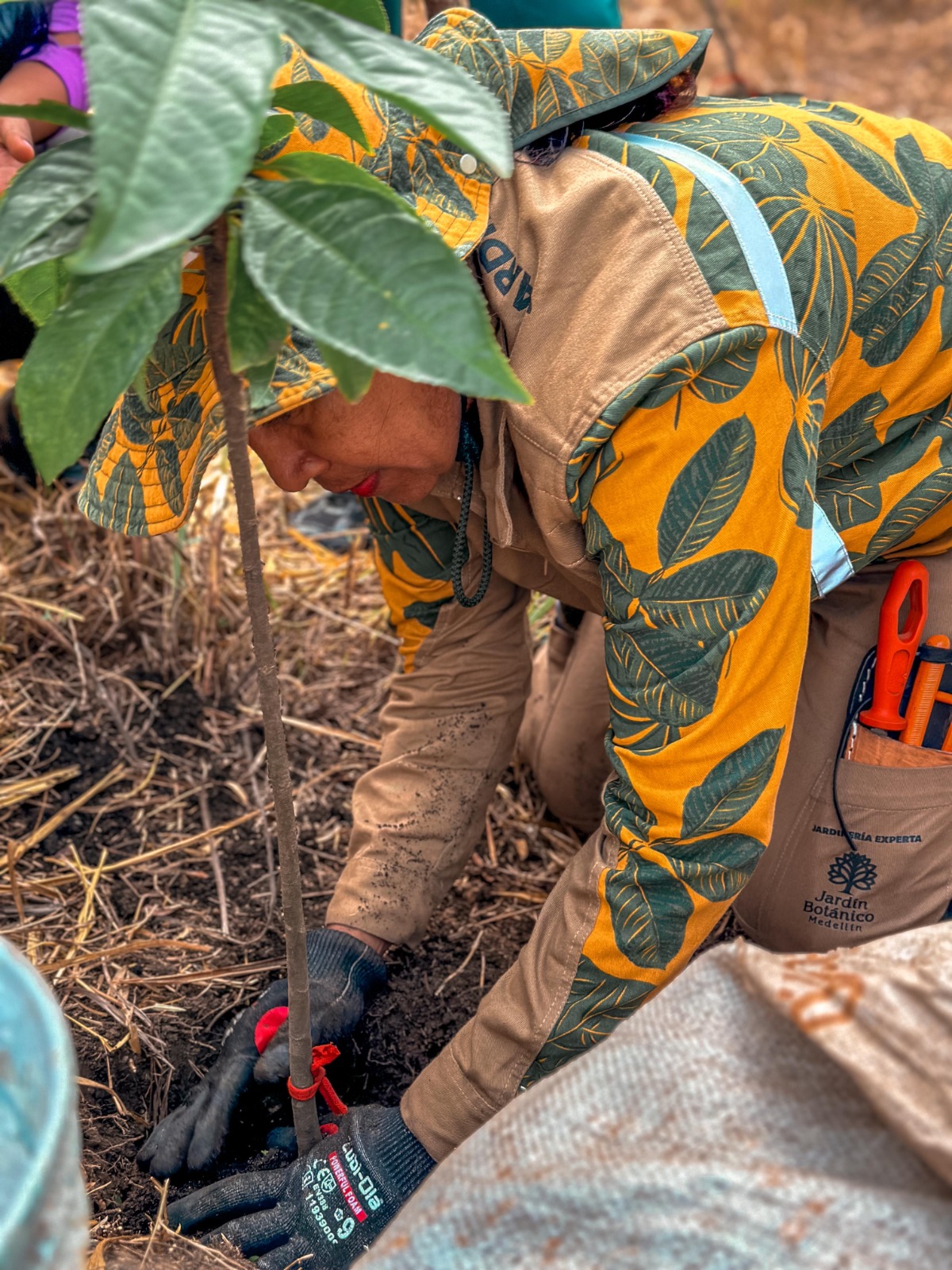El Distrito y el Ejército siembran 1.500 árboles para la recuperación del Bosque de los Héroes en Medellín
