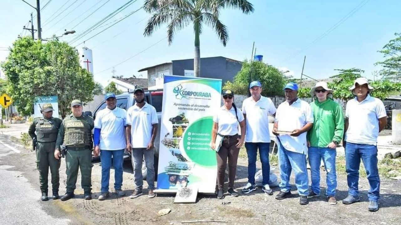 Policía recupera 30 cangrejos azules, en riesgo de extinción, durante Semana Santa en Turbo
