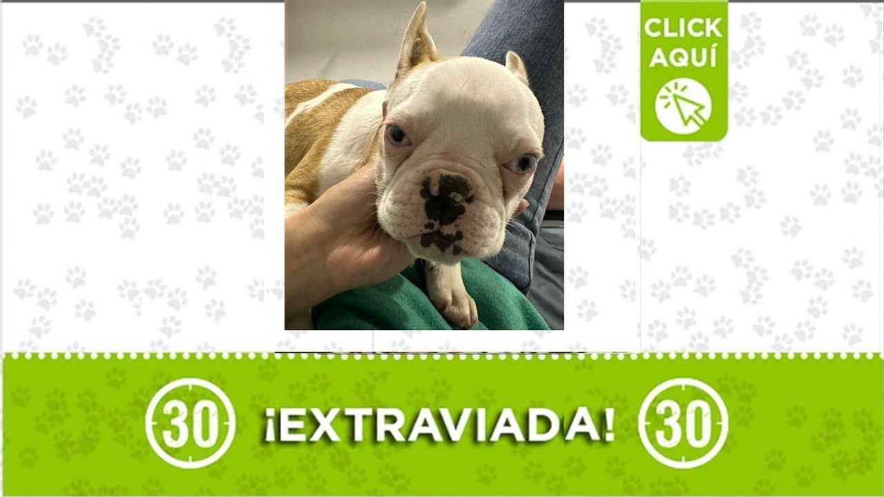 Noah desapareció en San Pedro de Los MIlagros