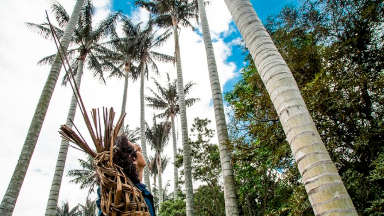 Antioquia cuida la fauna y la flora durante la Semana Santa