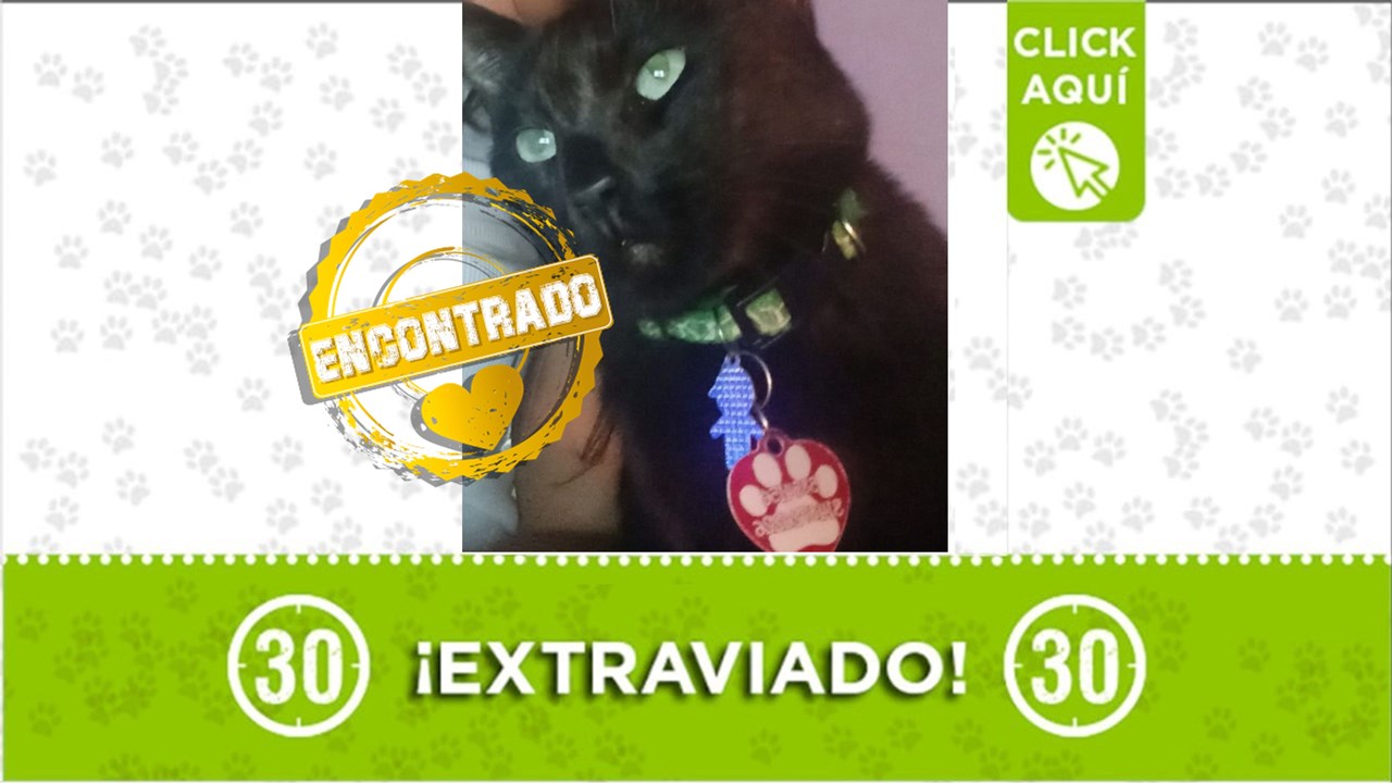 Tinto ya está con su familia. Gracias a todos los que ayudaron para hacerlo posible