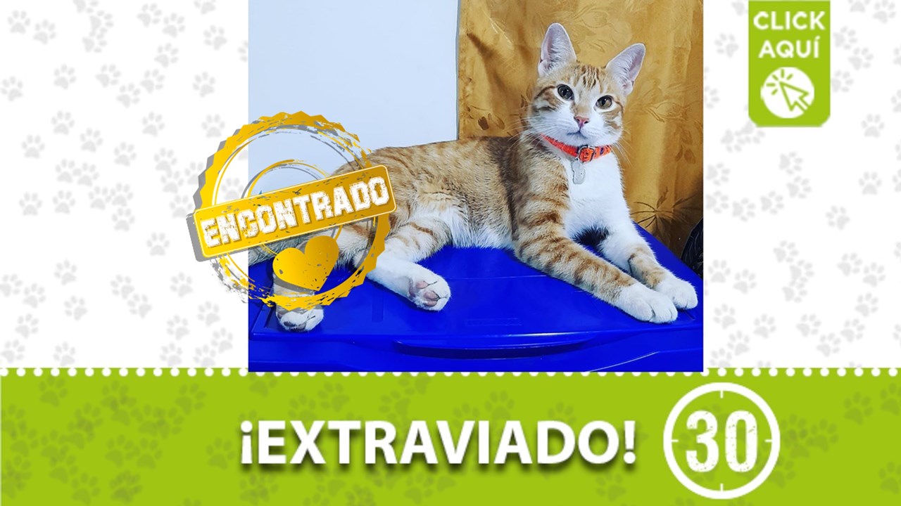 Tomy ya está con su familia y recibe los cuidados que requiere