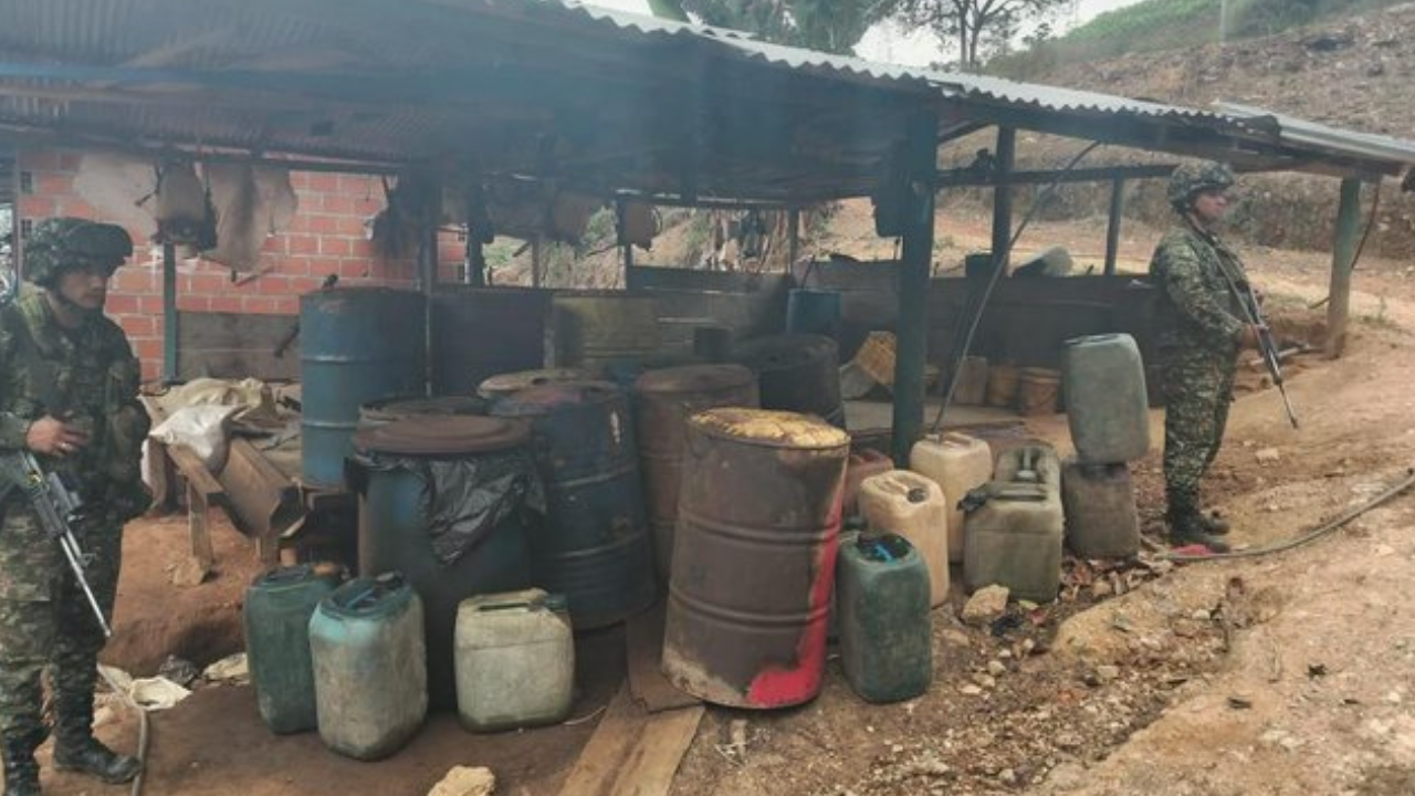 Desmantelado complejo cocalero del Eln en Norte de Santander