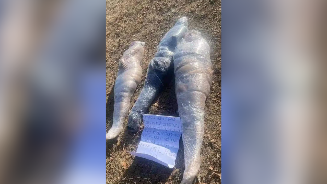 Encuentran tres colombianos embolsados en México: Familiares niegan actividades ilegales como decía un cartel