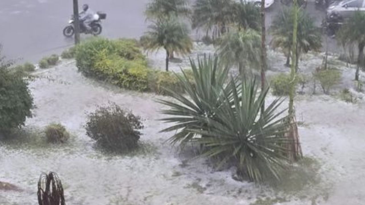 Fuerte granizada causa daños en Guarne: cultivos dañados, viviendas inundadas y árboles caídos