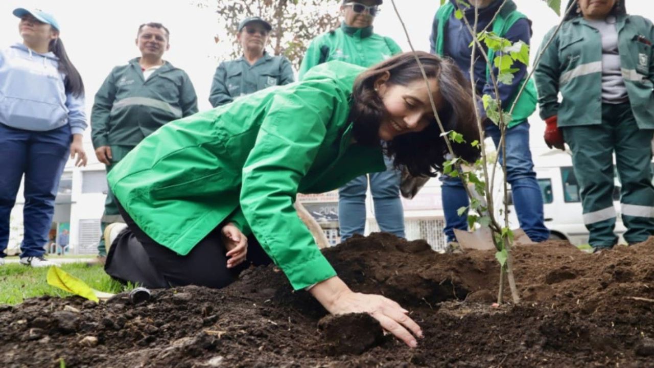 ¡Feliz día del árbol! y Bogotá lo celebra realizando 200 plantaciones