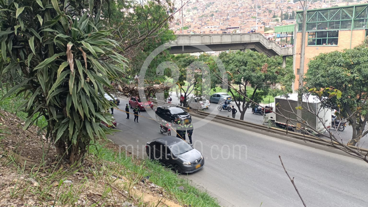 Hallan cadáver amordazado en un carro por la avenida Regional