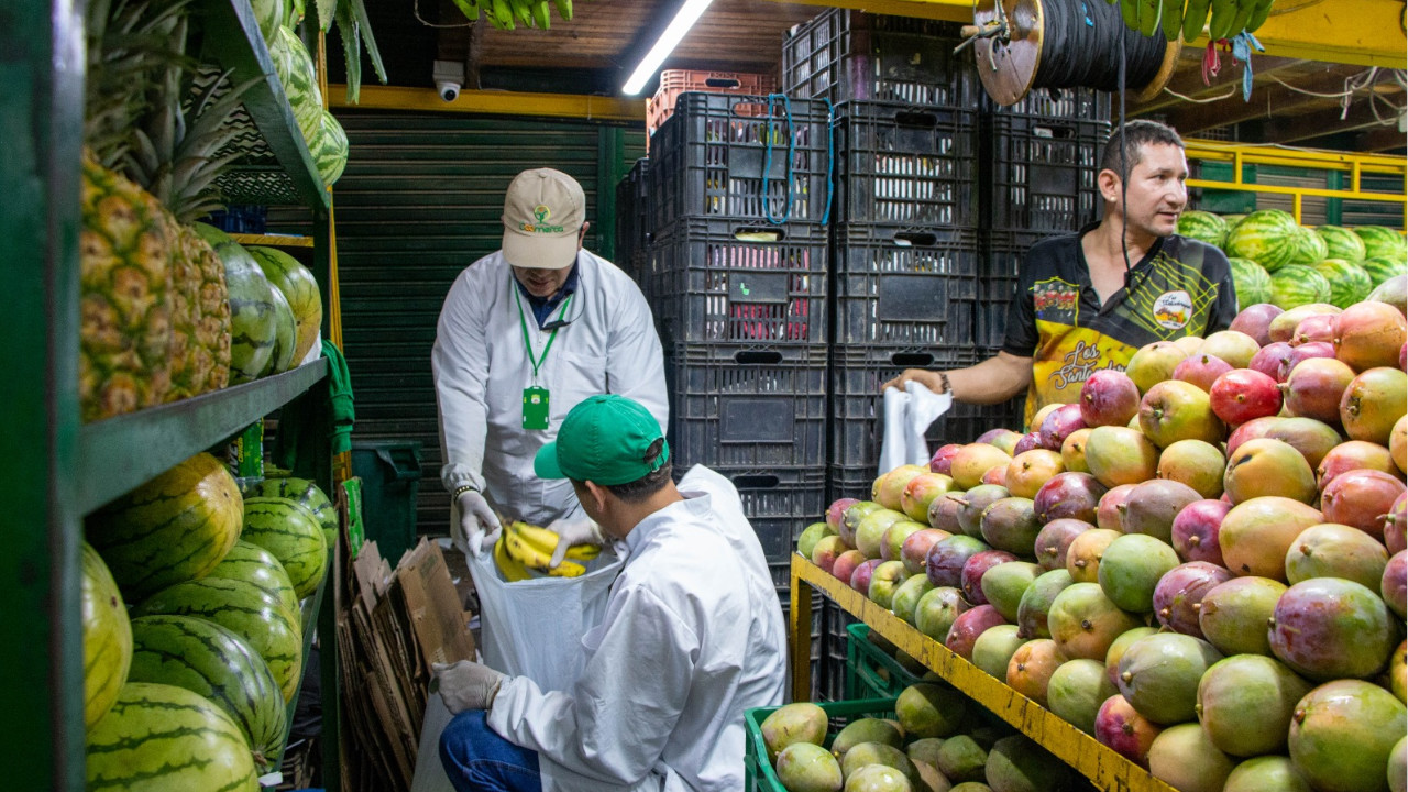 La Alcaldía de Medellín lidera proyecto de recuperación de alimentos para las familias más vulnerables