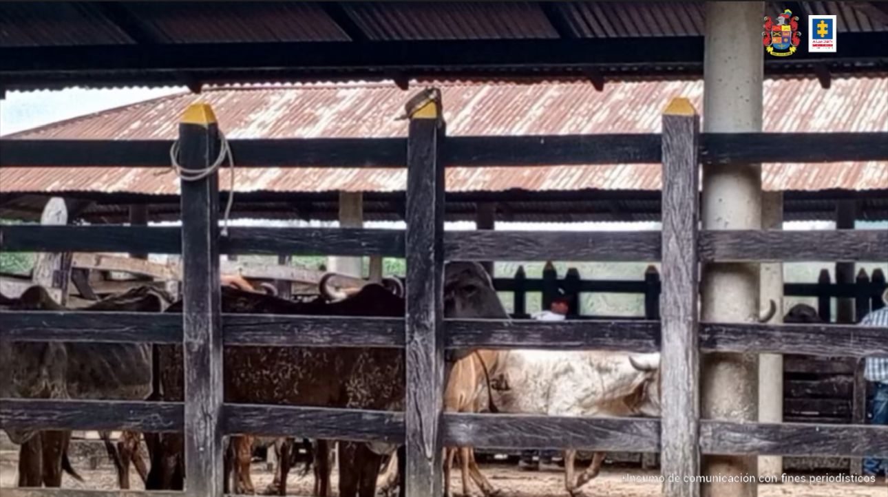 Judicializan a cinco de una misma familia, señalados de lavar dinero producto del contrabando