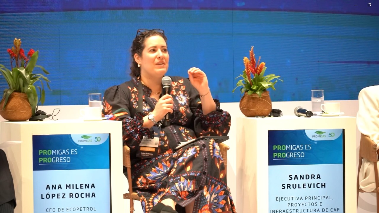 Ecopetrol es y seguirá siendo una compañía de hidrocarburos