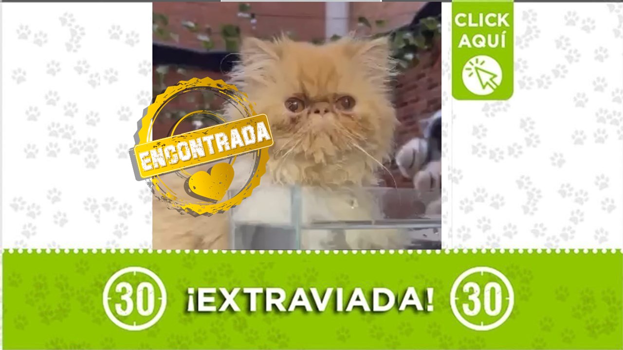 Bella ya está en su hogar