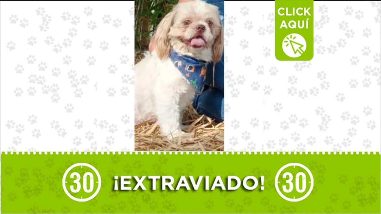 A doki lo busca su familia desde el domingo 21 de abril