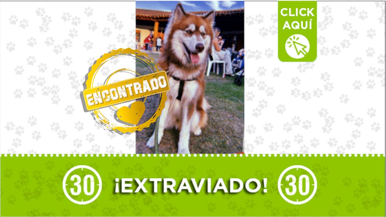 Leo ya está con su familia. Gracias a todos los que compartieron la publicación