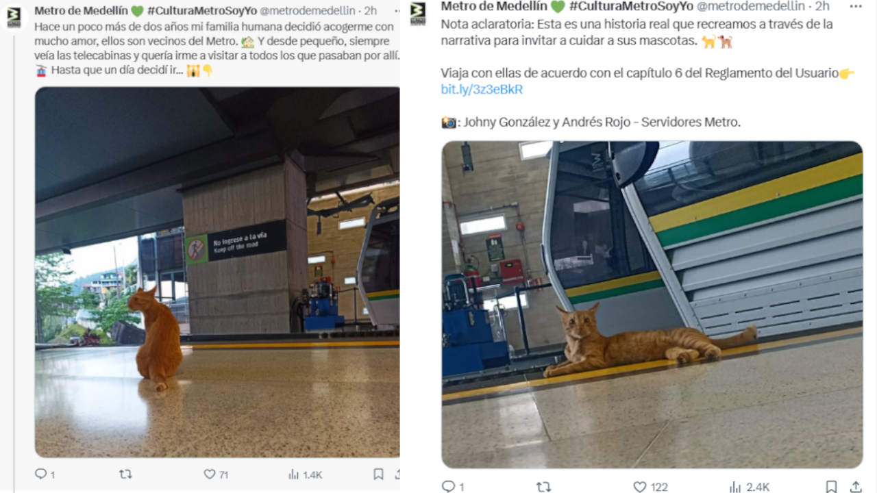 Metro de Medellín: ¿Ya lo conoce? "Mishi" es el operador gatuno de la estación Villa Sierra