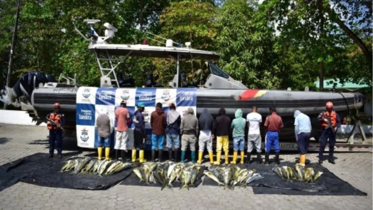 La Armada Nacional incauta más de 700 kilogramos de pesca ilegal en el Pacífico