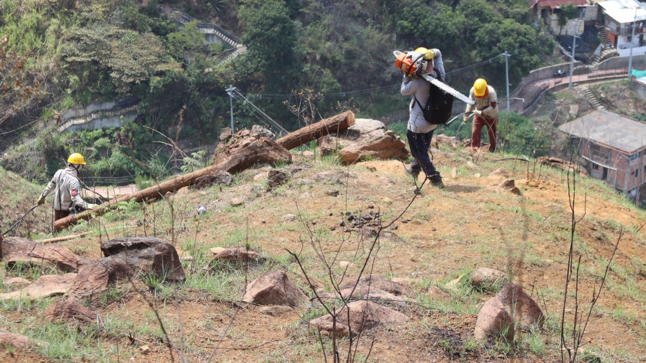 emovieron postes de energía instalados ilegalmente en el cerro Pan de Azúcar.