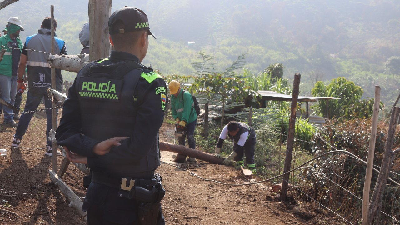 emovieron postes de energía instalados ilegalmente en el cerro Pan de Azúcar.