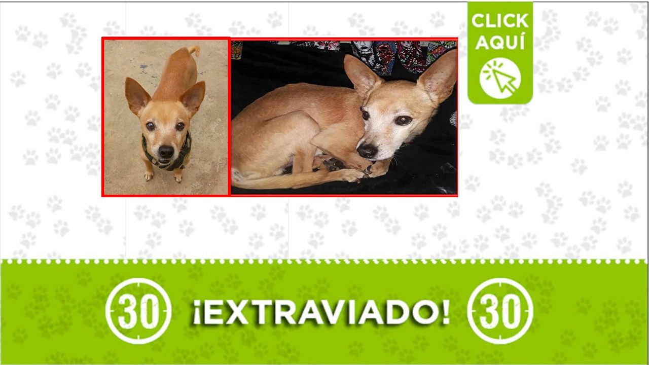 A thor lo habrían visto por El Estadio este sábado