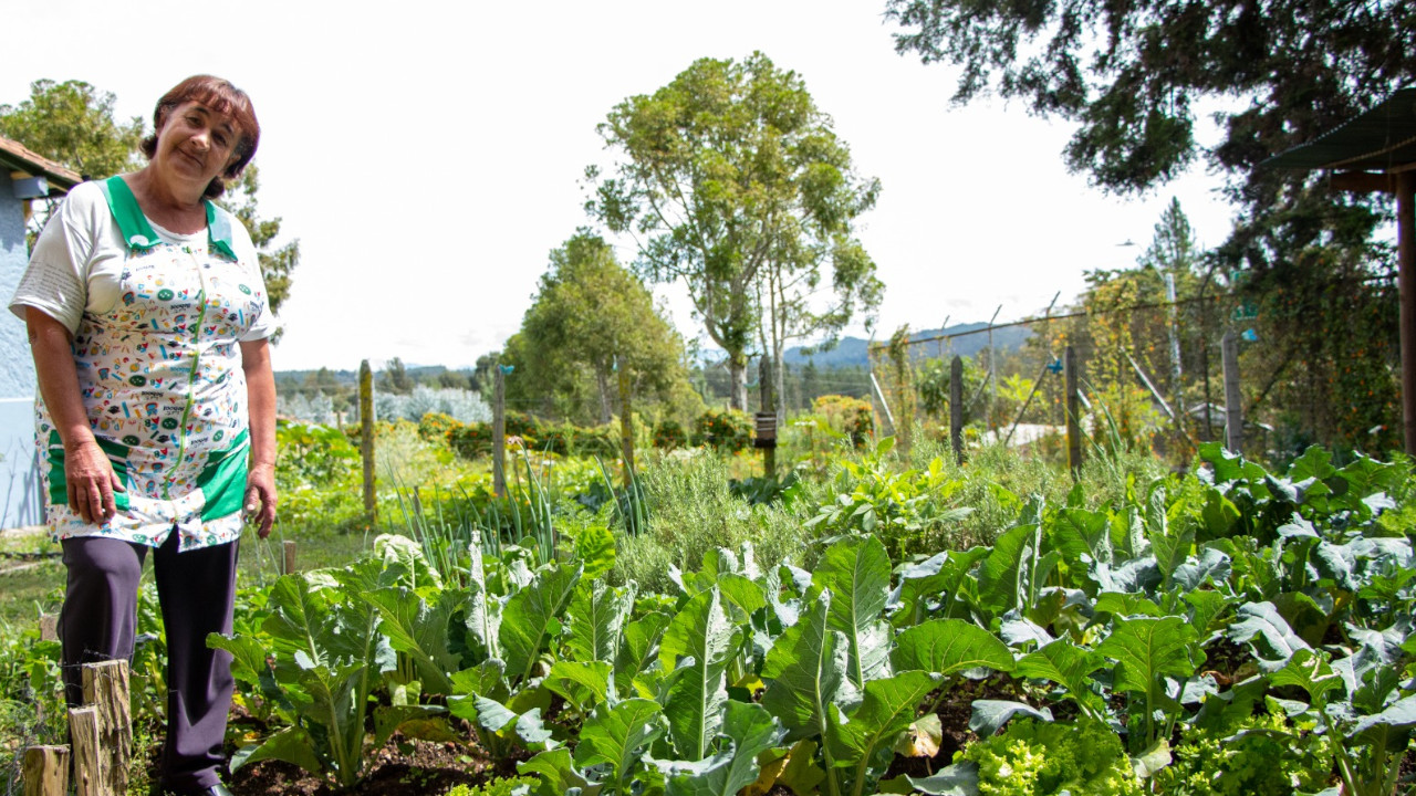 670 familias de Medellín se beneficiarán del proyecto huertas para el autoconsumo
