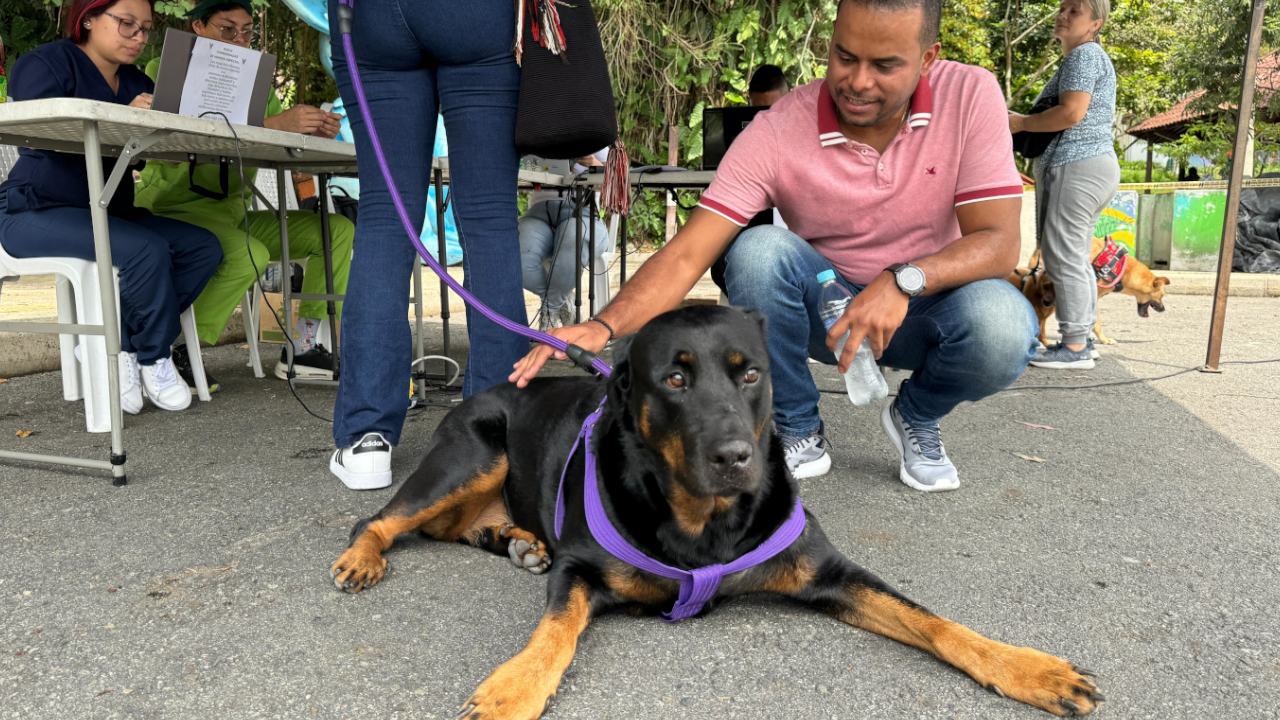 Jornada de implantación de microchips en La Estrella