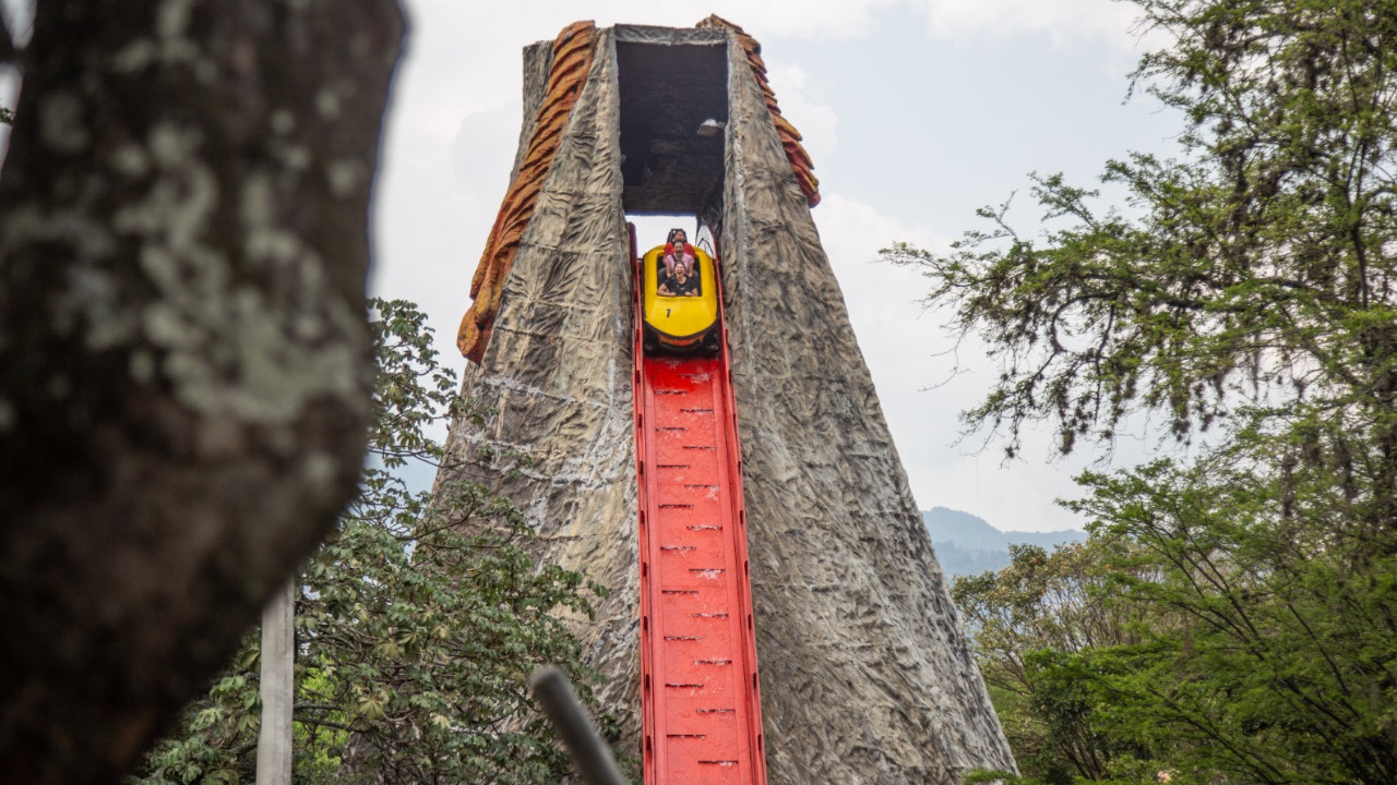 Estudiantes al parque
