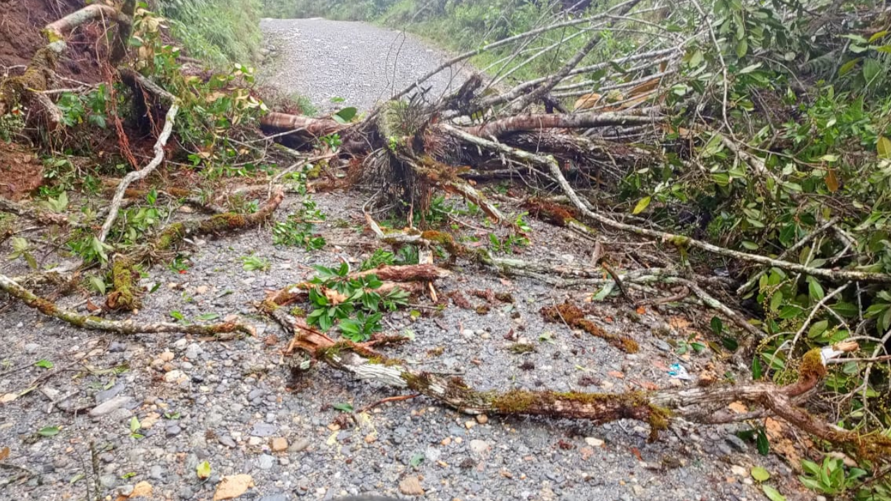 Reportan varios derrumbes en vías de Santo Domingo, Antioquia