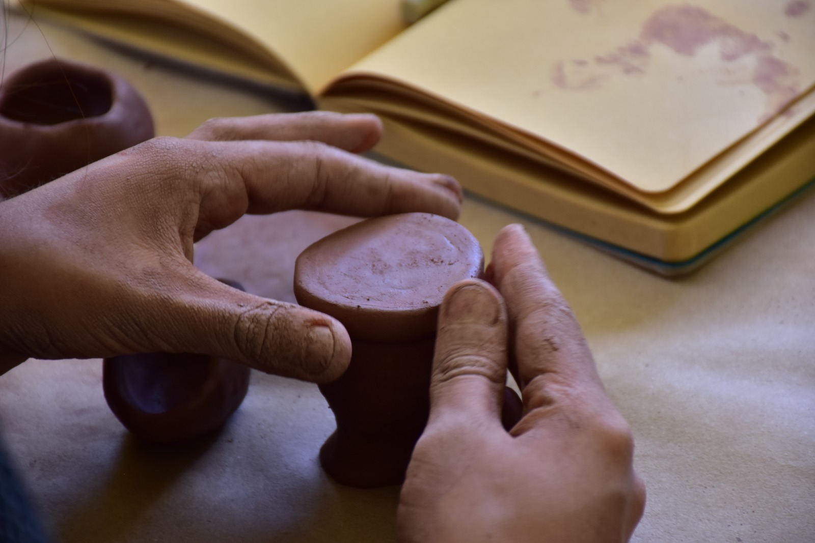 El Museo Casa de la Memoria abre convocatoria pública para la entrega de $80 millones en estímulos