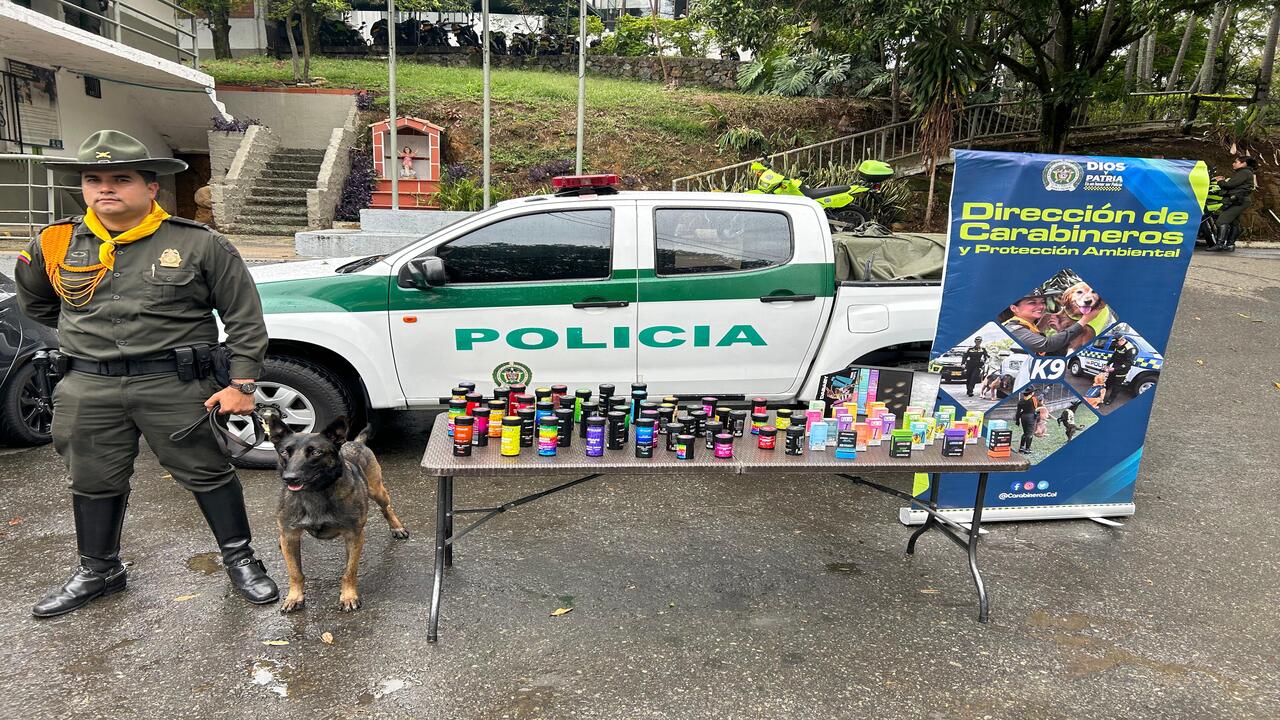 Caninos de la Policía detectan más de 1.000 gomitas y 42.000 gramos de marihuana en Medellín.
