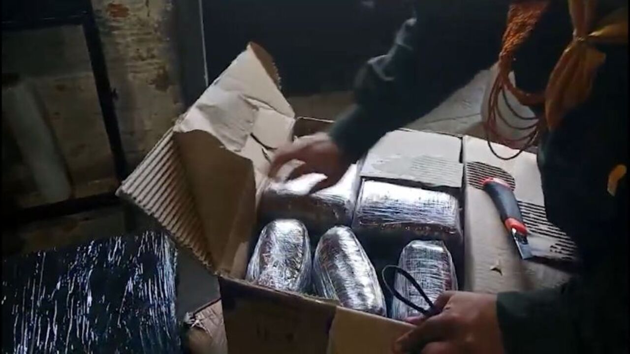 Caninos de la Policía detectan más de 1.000 gomitas y 42.000 gramos de marihuana en Medellín.