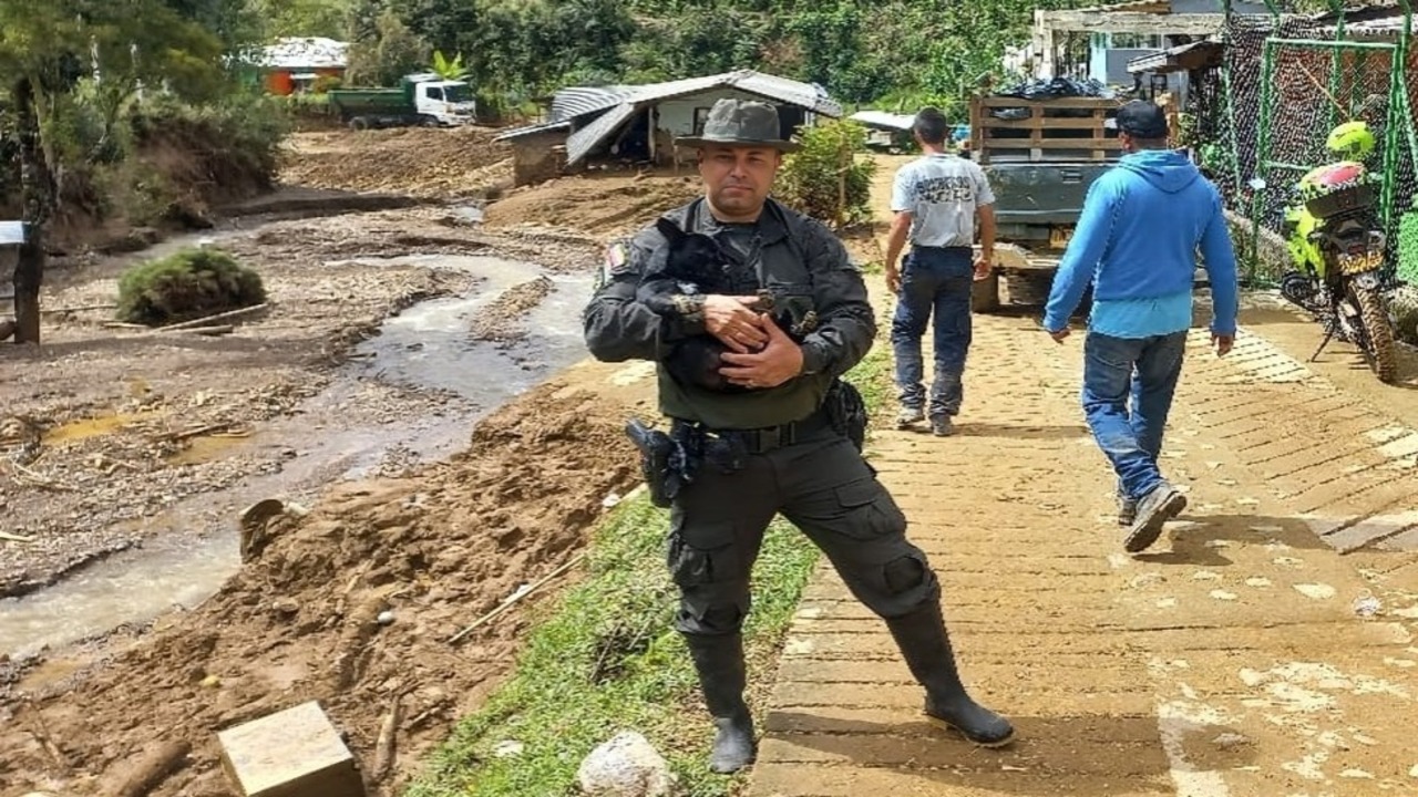 ¡Esperanza en Montebello! La Policía Nacional ayuda a animales afectados por la tragedia