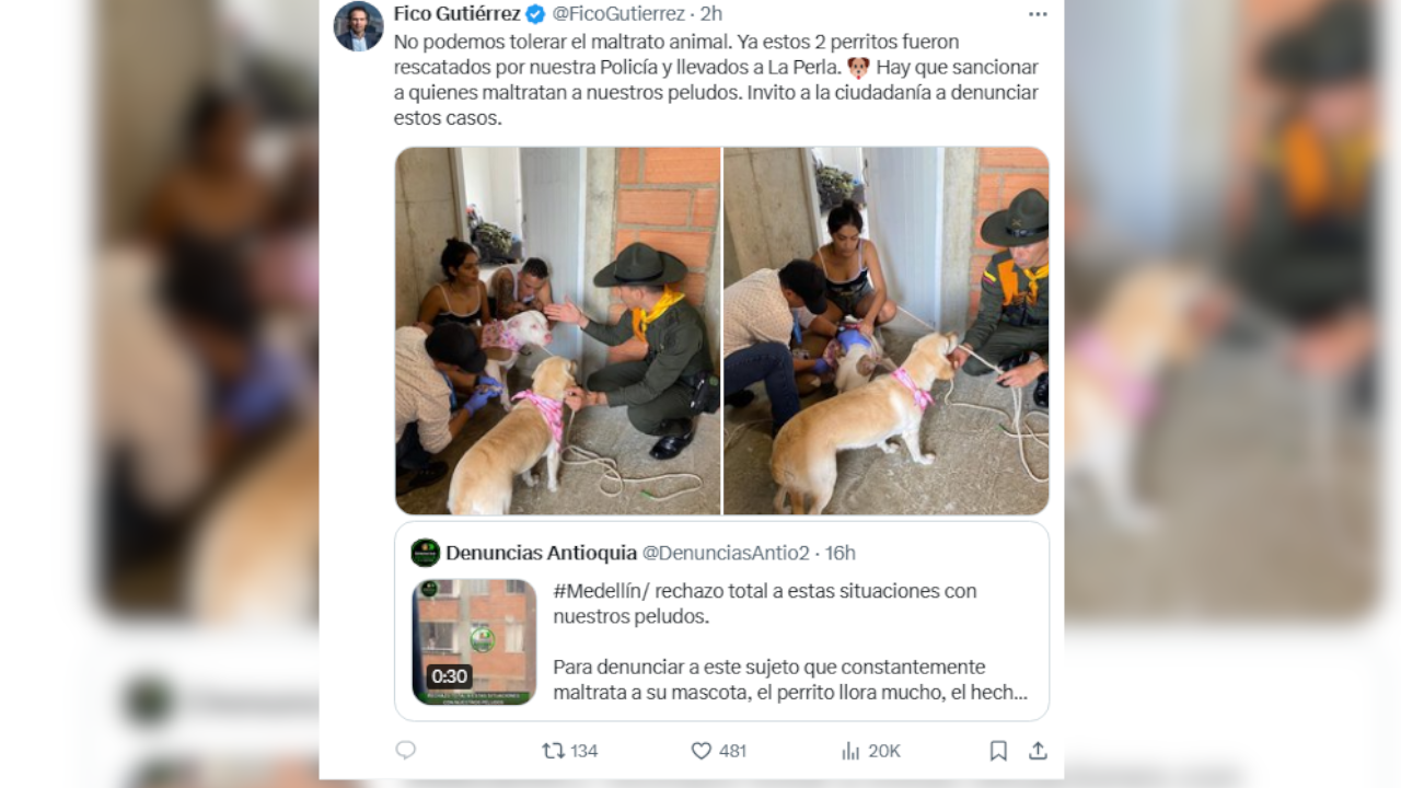 Maltrato animal en Robledo: recataron a dos perros que eran golpeados por su dueño