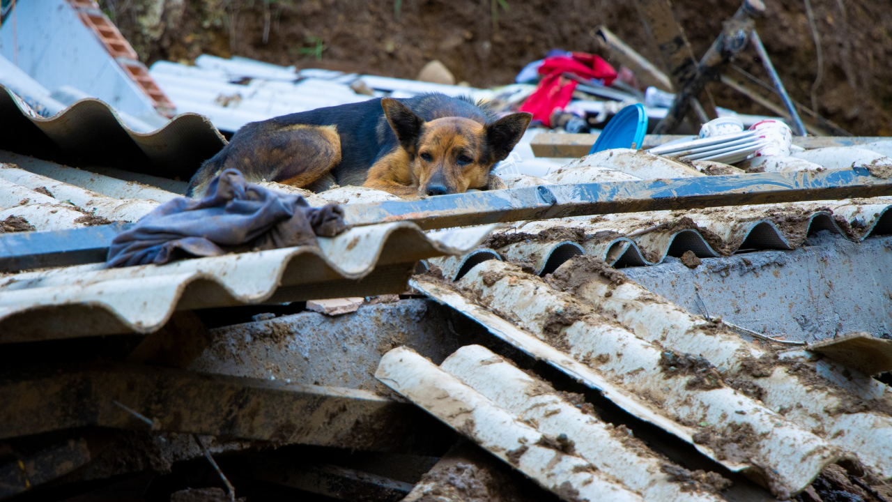 Emergencia invernal en Urrao: Joven murió por torrencial