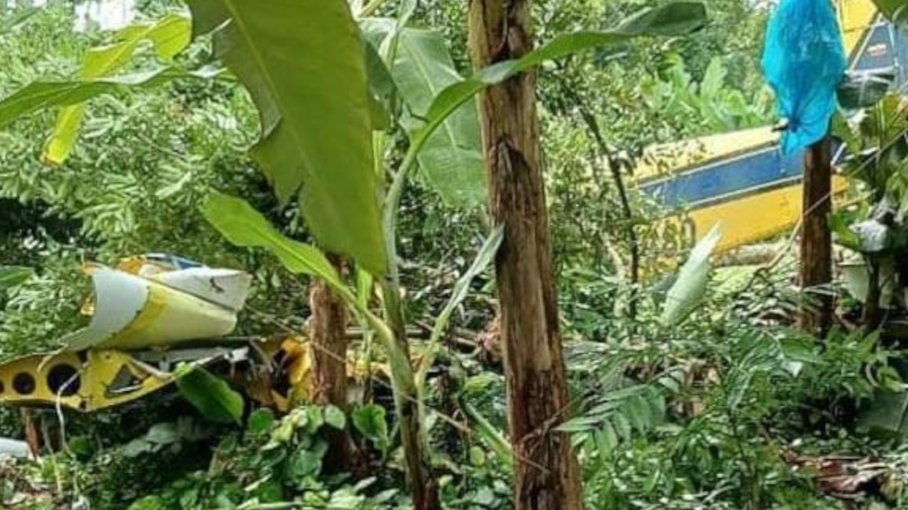 Avioneta de fumigación se accidentó en una finca de Urabá