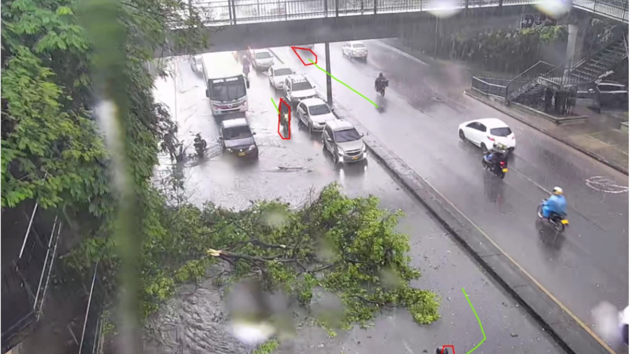 Cierre en la Autopista Norte, a la altura de Zenú, por caída de árboles