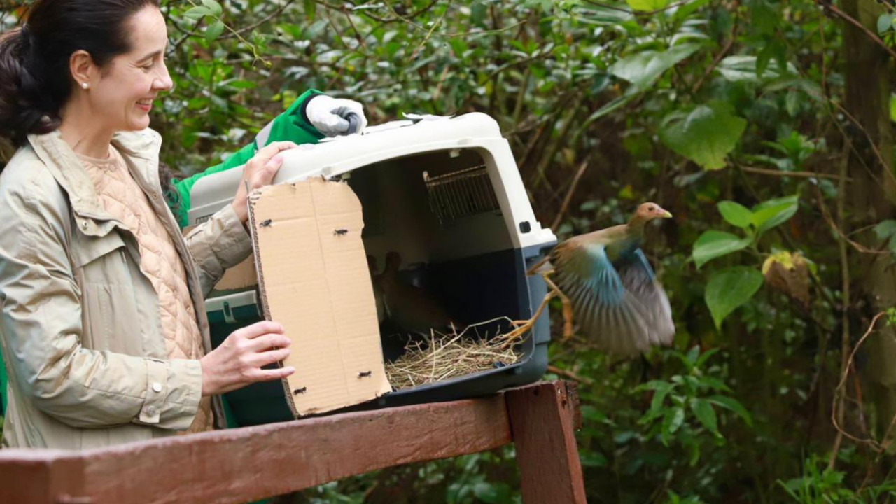 Día Mundial del Medio Ambiente