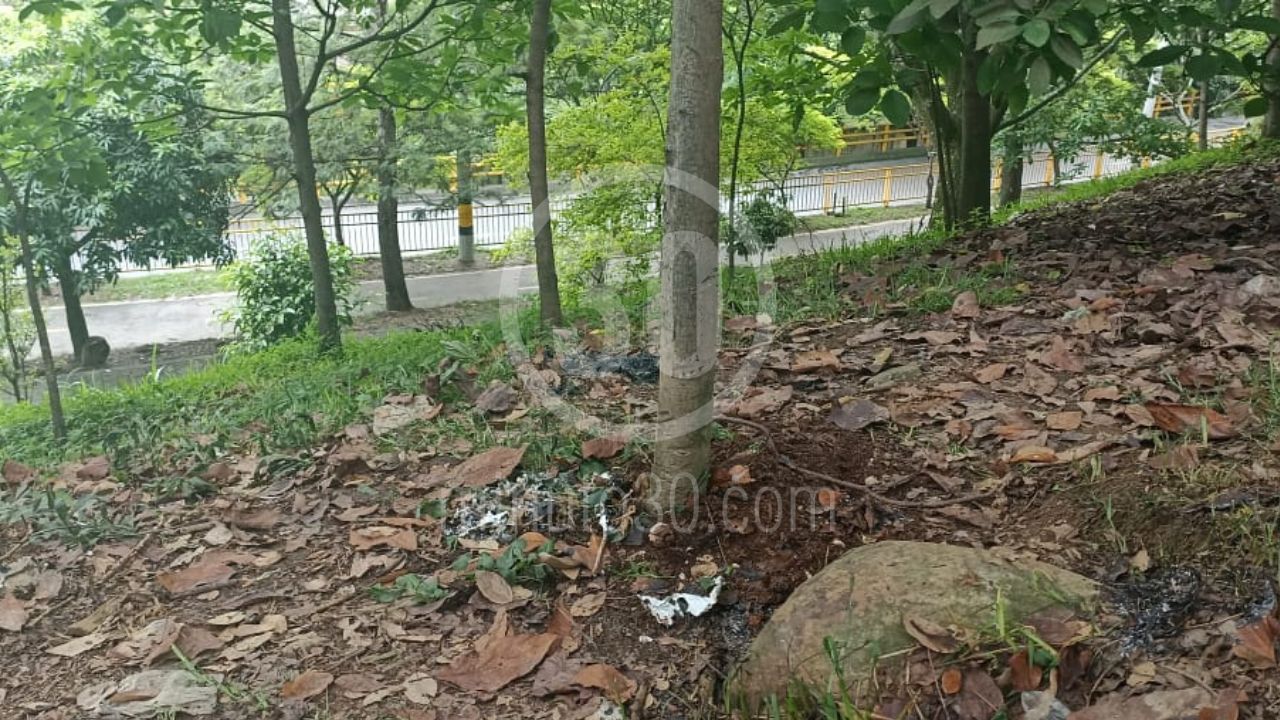 'Terrible': Encontraron a un hombre incinerado en zona boscosa del barrio El Danubio de Medellín