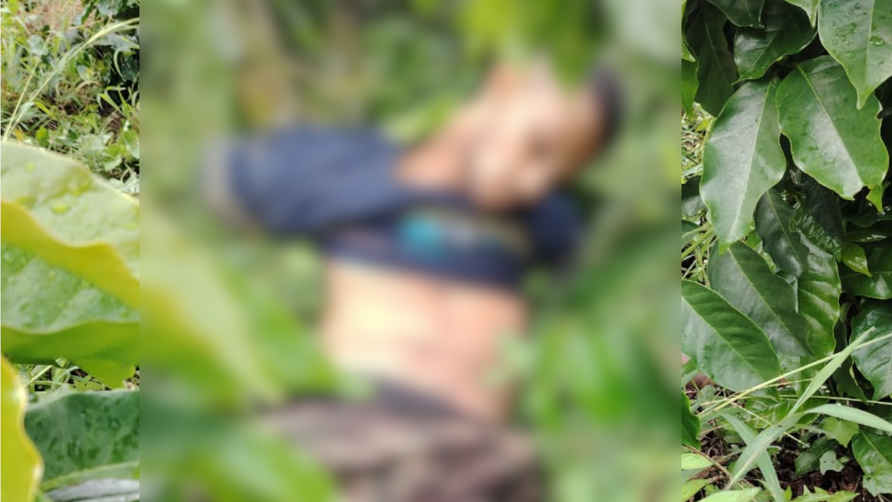 Hallaron dos cuerpos sin vida con heridas de bala por Fredonia