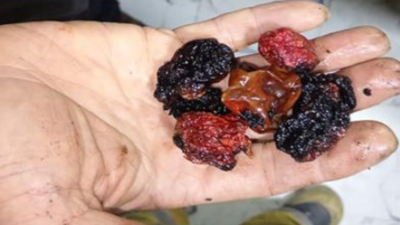 Quema de un pimiento rojo en Rionegro dejó 40 familias afectadas