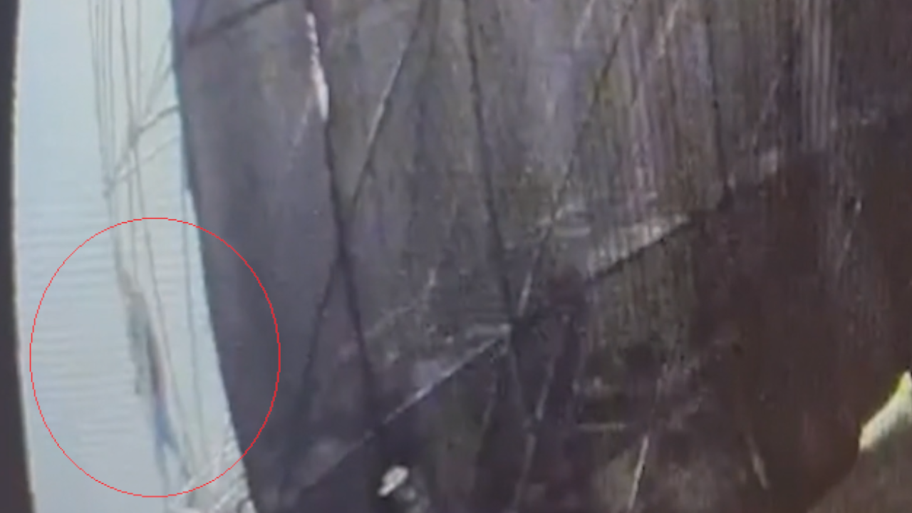 Últimos momentos del joven en Corferias tras el Baum Festival