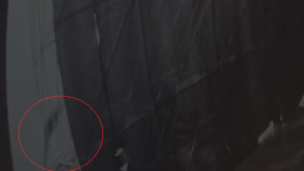 Últimos momentos del joven en Corferias tras el Baum Festival