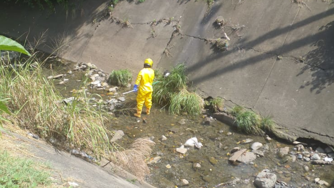 Un perrito se cayó a un canal de aguas residuales en Cali